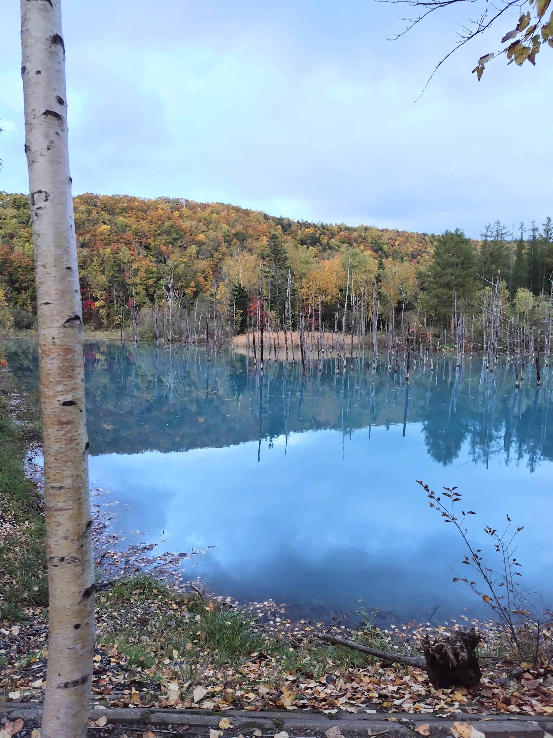 介護のお仕事　心が疲れました