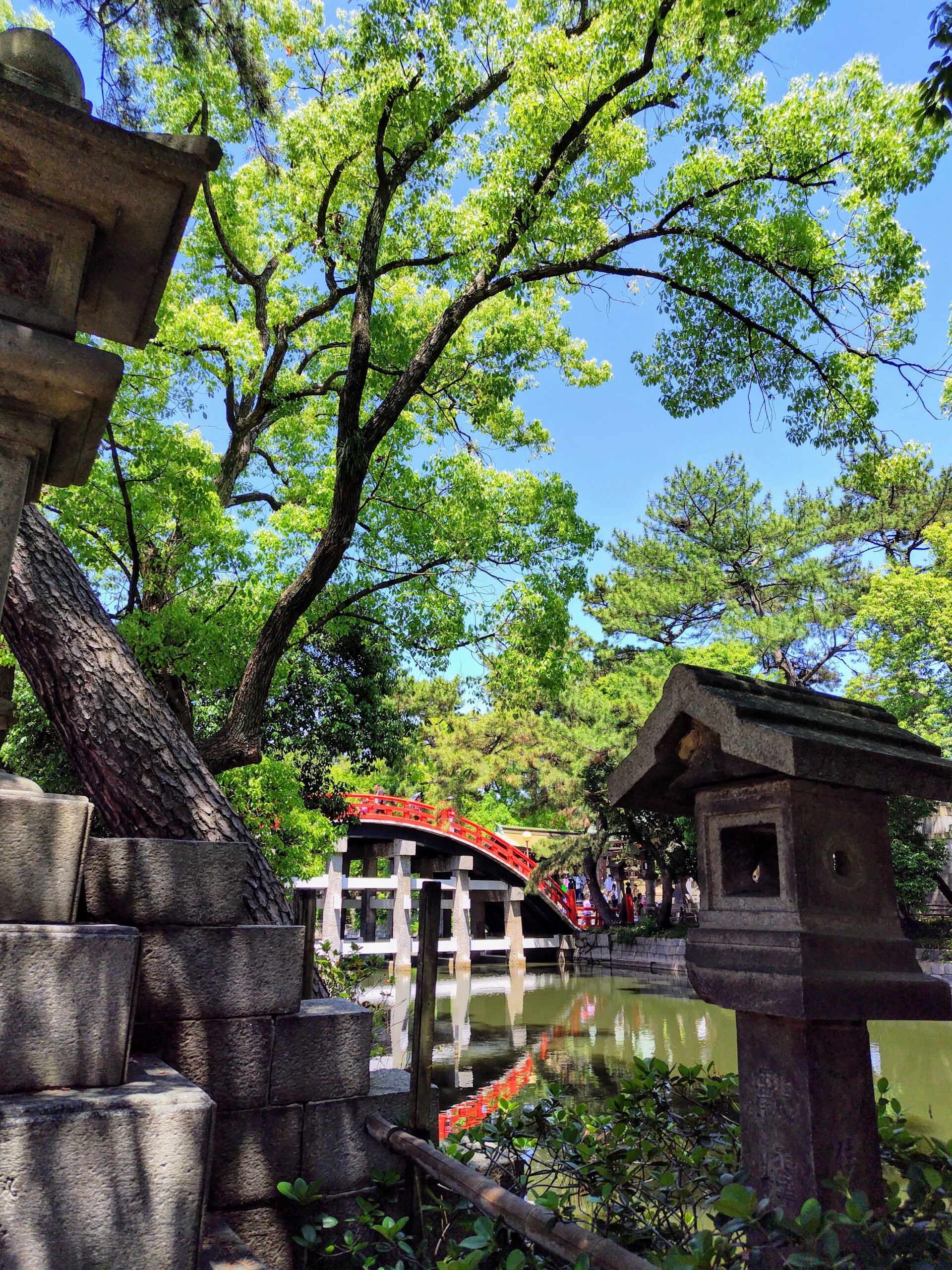 勘と記憶力と感謝